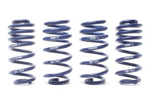 H&R lowering springs fits for Renault Clio